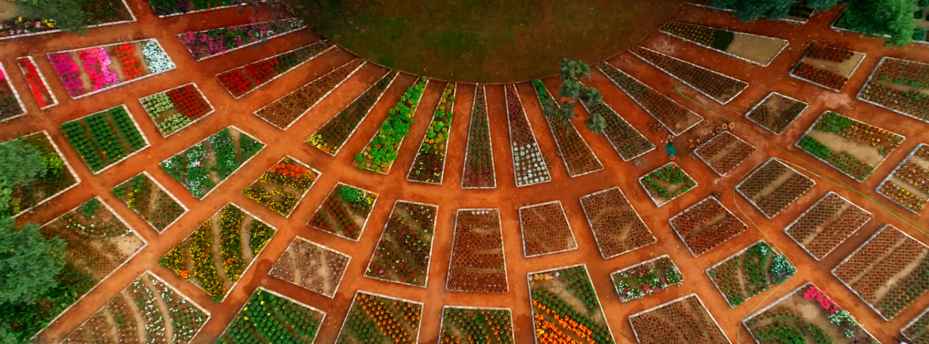 Regional Plant Resource Centre